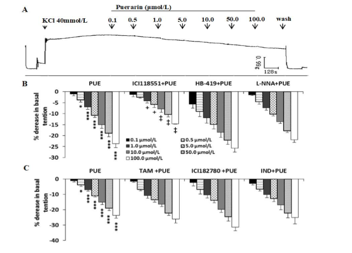 Figure 3. Inhibitory effects of puerarin on KCl-induced rat myometrial contractions in the absence and the presence of various inhibitors. (A) Typical recording of the effects of puerarin (PUE) on KCl-induced uterine contractions. (B) and (C) The values expressed as the percentage of decrease in KCl induced-contraction after cumulative administration of PUE in the absence and the presence of ICI118551, glibenclamide (HB-419), Nw-nitro-L-arginine (L-NNA), tamoxifen (TAM), ICI182780, and indomethacin (IND). Compared to the solvent DMSO control: *P<0.05, ** P<0.01, ***P<0.001; Compared to PUE group: +P<0.05, ++P<0.01, +++P<0.001.