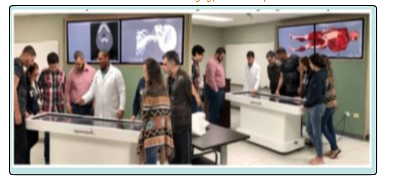 Figure 4. Virtual pre-dissection classroom-based anatomy laboratory depicting musculoskeletal (R) and (L) cranial-cervical skeletal anatomy.