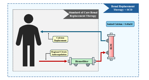 The Selective Cytopheretic Device (SCD) incorporated into a continuous renal replacement therapy (CRRT) circuit.