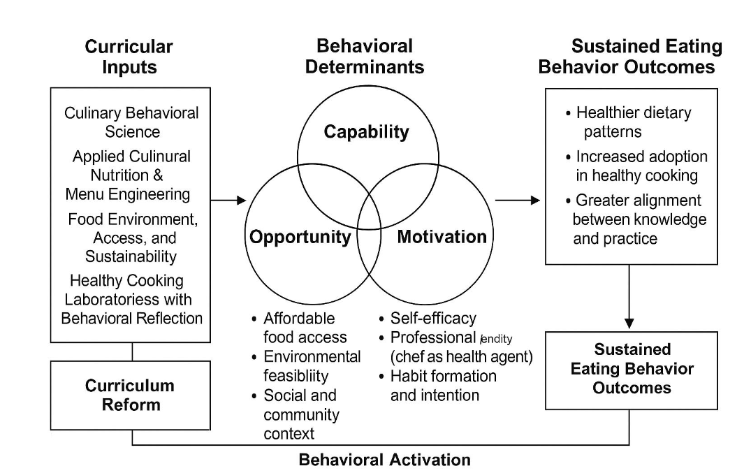 Figure 1. Theory-driven curricular pathway linking culinary education to eating behavior through capability, opportunity, and motivation.