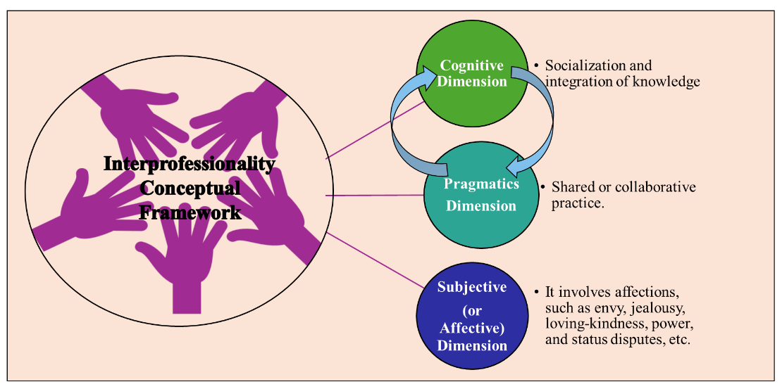 Figure 1: Conceptual Structure of Interprofessionality according to Ellery. Font: Adapted from Ellery, 2018.