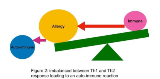 Figure 2: Immune system and auto-immune diseases