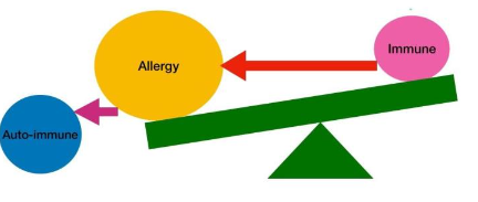 Figure 2: Immune system and autoimmune diseases
