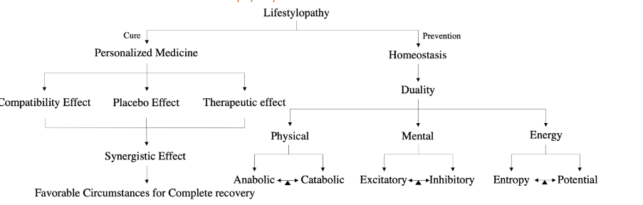 The figure outlines a framework for addressing lifestyle-related health conditions, focusing on curative and preventive approaches. The curative path centers on personalized medicine, utilizing compatibility effects, placebo impacts, and targeted interventions across physical, mental, and energy domains. Meanwhile, prevention focuses on homeostasis and duality, striving to sustain internal balance.
