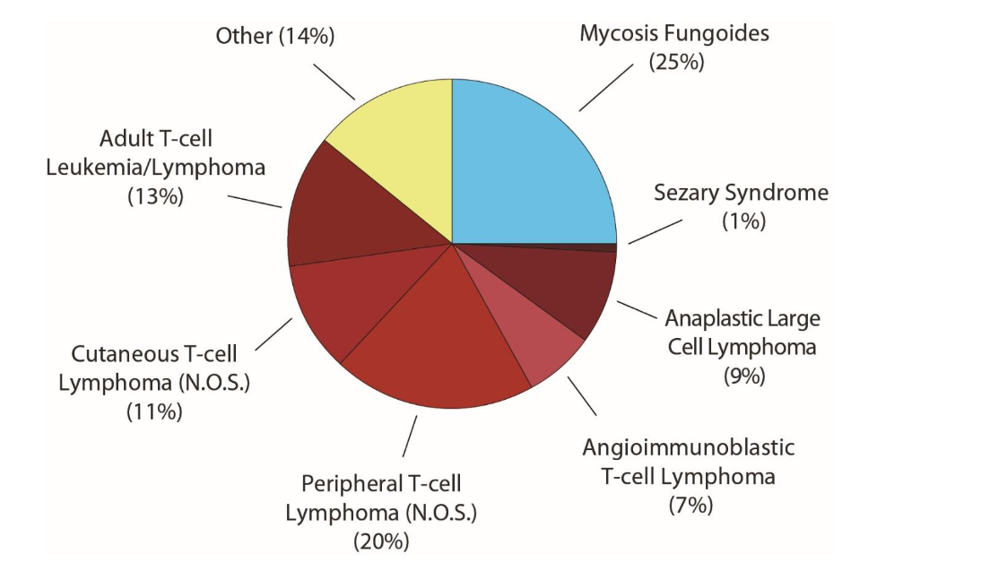 Figure 2. Frequencies of T-cell Non-Hodgkin Lymphomas. Indolent T-cell lymphomas are in blue shades, while aggressive T-cell lymphomas are signified by red shades. The “other” categorization includes precursor forms of NHL and T-cell lymphomas under 1% prevalence. Data is based on percentages from the National Cancer Institute’s Surveillance, Epidemiology and End Results (SEER) data, 2008-2017.