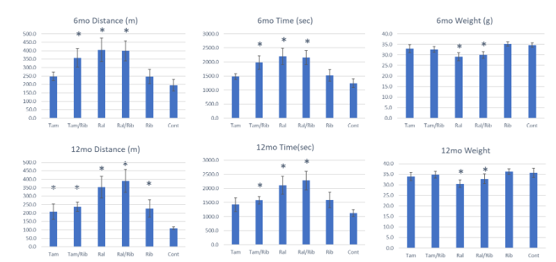 Figure 4. Treadmill and body weight 6- and 12-months post treatment in P448L mutant mice. Treadmill distance and time as well as weight was recorded for all groups at both 6 (top row) and 12 months (bottom row) post-treatment. Treadmill distance is shown in meters (m) with treadmill time as seconds (sec). Mouse weights are shown in grams (g) Tam, tamoxifen; Ral, raloxifene; Rib, ribtol; Cont, Control. * = P<0.05 compared to untreated control.