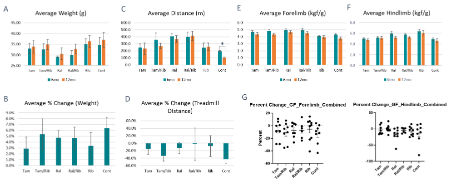 Figure 5. Change in body weight, treadmill distance and grip force from 6 to 12 months post treatment. A) Average body weight with and without treatment at 6 and 12 month treatment point. B) Percent change in weight from 6 to 12 months. C) Average treadmill distance with and without treatment at 6 and 12 month post-treatment start. D) Percent change in treadmill distance run. Average forelimb (E) and hindlimb (F) grip strength at 6 and 12 month post-treatment start. G) Percent change in forelimb and hindlimb grip strength with and without treatment. Tam, tamoxifen; Ral, raloxifene; Rib, ribtol; Cont, Control. * = P<0.05 compared to untreated control.