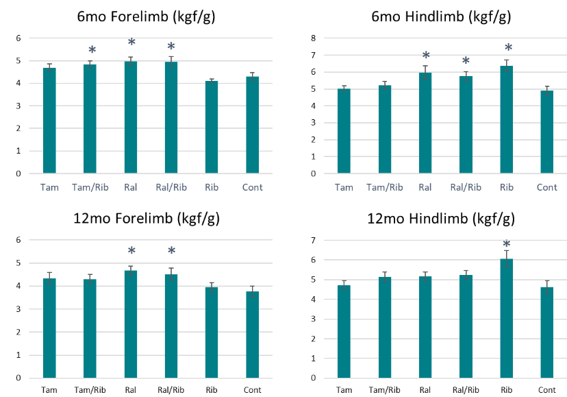 Figure 6. Grip force measurements at 6-month (top row) and 12-month (bottom row) treatment points. Forelimb and hindlimb grip strength measured at 6 and 12-months post treatment. Measurements represent as kilograms of force per gram (kgf/g). Tam, tamoxifen; Ral, raloxifene; Rib, ribtol; Cont, Control. * = P<0.05 compared to untreated control.