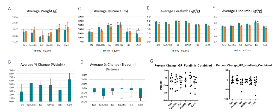 Figure 5. Change in body weight, treadmill distance and grip force from 6 to 12 months post treatment. A) Average body weight with and without treatment at 6 and 12 month treatment point. B) Percent change in weight from 6 to 12 months. C) Average treadmill distance with and without treatment at 6 and 12 month post-treatment start. D) Percent change in treadmill distance run. Average forelimb (E) and hindlimb (F) grip strength at 6 and 12 month post-treatment start. G) Percent change in forelimb and hindlimb grip strength with and without treatment. Tam, tamoxifen; Ral, raloxifene; Rib, ribitol; Cont, Control. * = P<0.05 compared to untreated control.