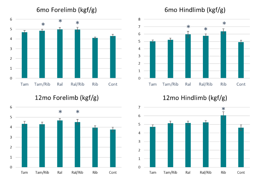 Figure 6. Grip force measurements at 6-month (top row) and 12-month (bottom row) treatment points. Forelimb and hindlimb grip strength measured at 6 and 12-months post treatment. Measurements represent as kilograms of force per gram (kgf/g). Tam, tamoxifen; Ral, raloxifene; Rib, ribitol; Cont, Control. * = P<0.05 compared to untreated control.