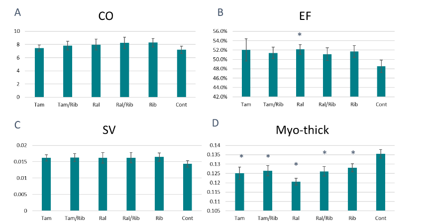 Figure 8. Echocardiogram of the P448L- mutant mice. A) Cardiac output (CO), the product of heart rate and stroke volume. B) Ejection fraction (EF), measurement of percent of blood leaving left ventricle during each contraction. C) Stroke volume (SV). D) Myocardial thickness (Myo-thick). Tam, tamoxifen; Ral, raloxifene; Rib, ribitol; Cont, Control. * = P<0.05 compared to untreated control.
