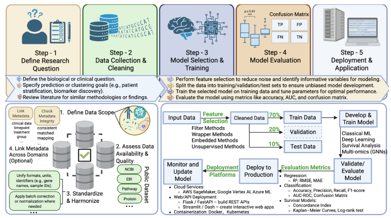Figure 3. Overview of the ML-driven biomarker discovery and deployment workflow. This structured pipeline includes four major steps. Continuous monitoring and updating ensure robust, reproducible, and clinically applicable biomarker solutions.