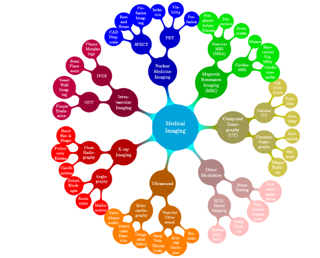 This mind map illustrates the diverse medical imaging modalities available for cardiac imaging. This paper focuses on the most commonly used imaging techniques, each represented by a distinct color. It also provides a comprehensive overview of these imaging tools, highlighting their specific applications in different cardiac pathologies.