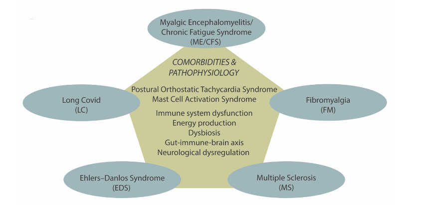Figure 2. Chronic condition co-morbidities and common pathophysiology
