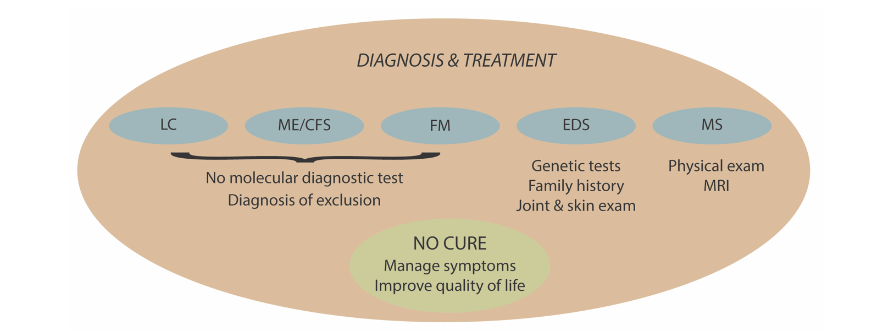 Figure 3 An overview of how diagnoses are made for the chronic conditions and their treatment status