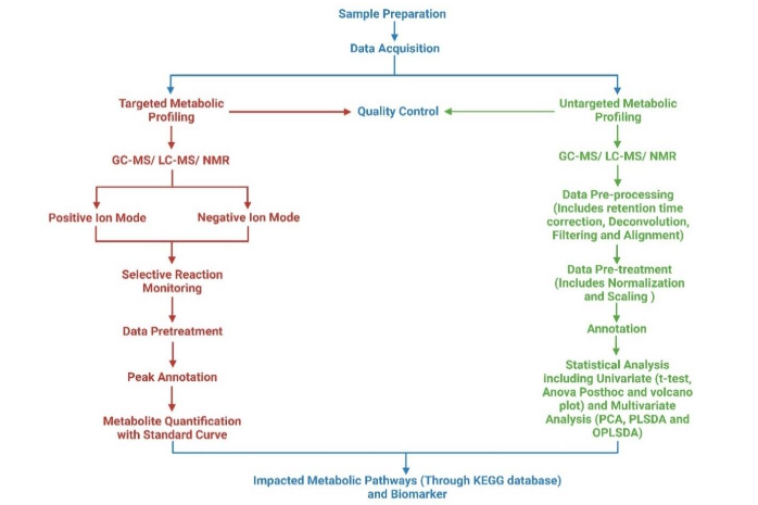 Figure 1: Schematic showing the procedures for analyzing targeted and untargeted metabolomic data using GC-MS, LC-MS, and NMR.
