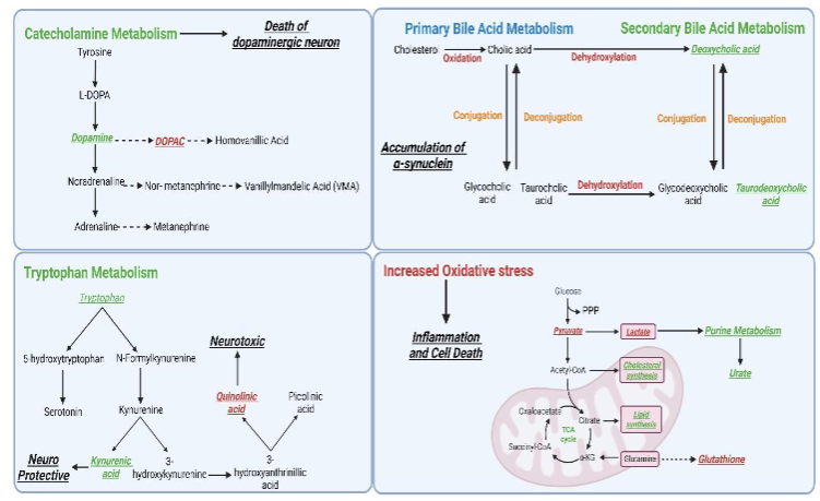 Figure 5: Metabolomics in coronary heart diseases.