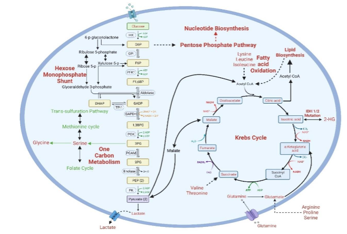 Figure 2: Schematic of LC-MS process.