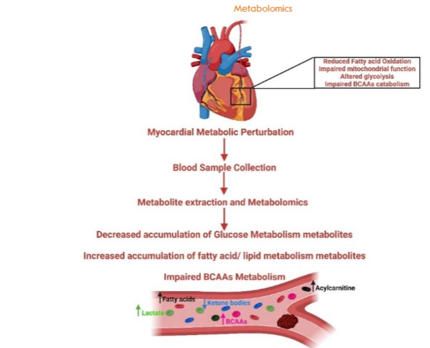 Figure 3: Schematic of data analysis approach.