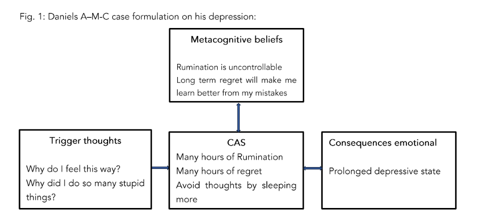 Fig. 1: Daniel's A-M-C case formulation model in a matrix state.