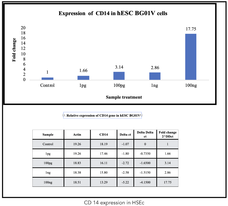 Figure 1: RT-PCR showing CD14 upregulation in hESCs