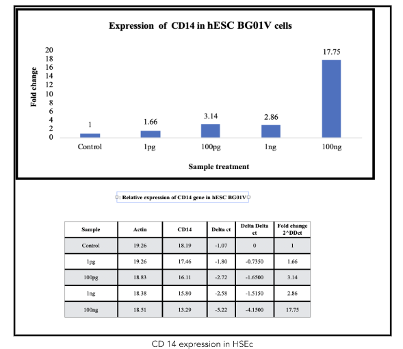 Figure 1: Q-RT-PCR showing CD14 upregulation in hESCs