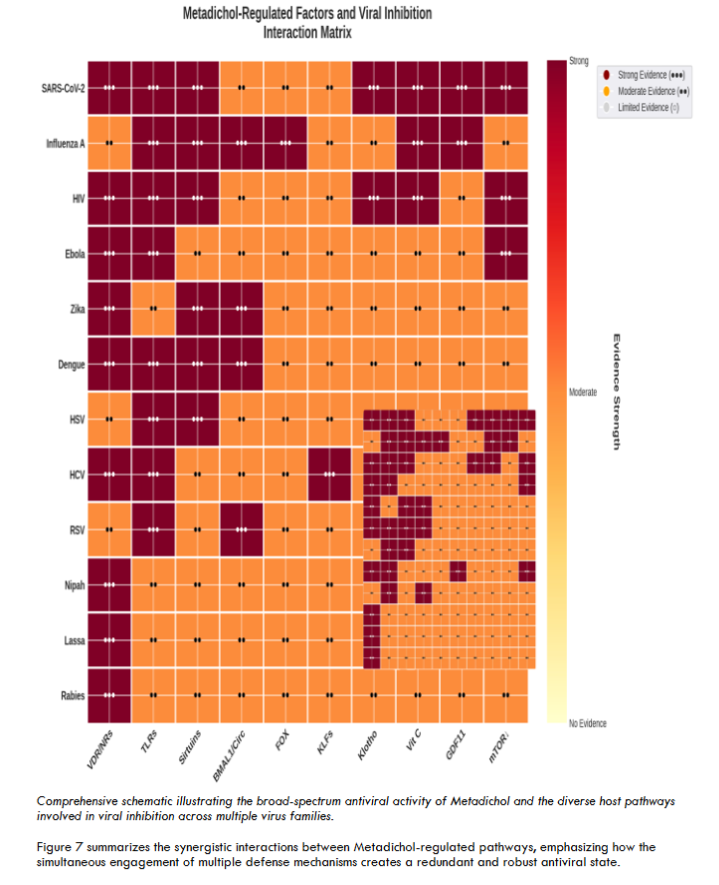 Comprehensive schematic illustrating the broad-spectrum antiviral activity of Metadichol and the diverse host pathways involved in viral inhibition across multiple virus families.