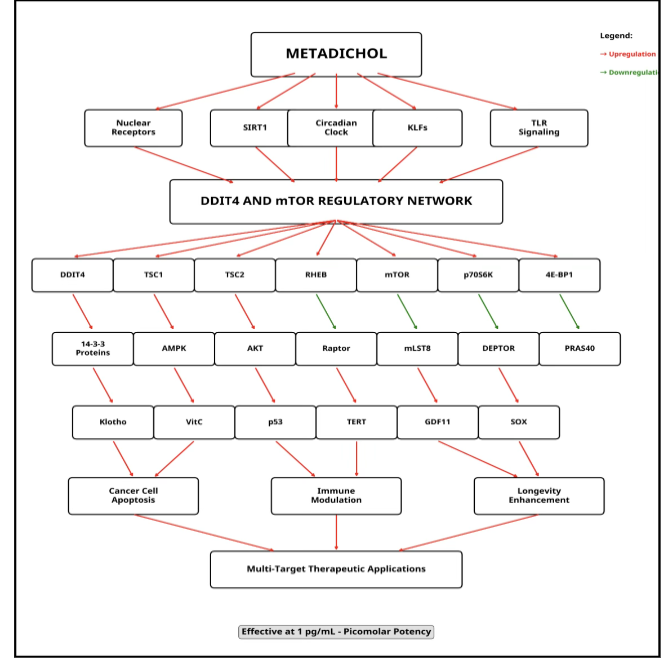 Comprehensive Metadichol Network Multi-Target Regulatory Network