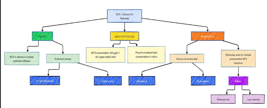 Figure 2: Intra-SO MTX Rationale Schematic