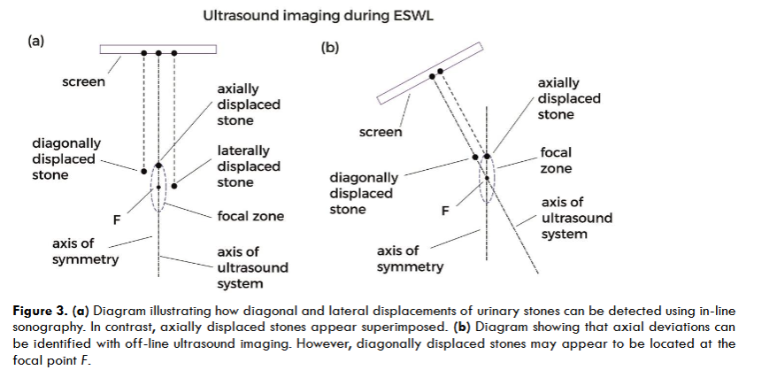 Superposition of the graphs shown in (a) and (b), using a different time scale.
