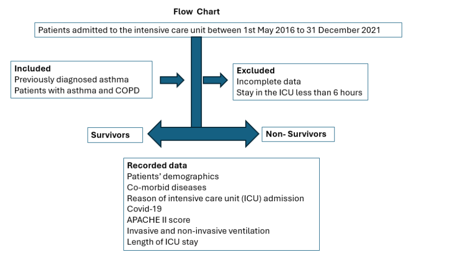 Figure 1. Flow chart