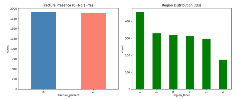 Figure 3: Distribution of fracture presence (left) and anatomical regions (right) in the BoneFractureYOLO8 dataset.