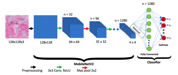 Figure 5: MobileNetV2 Architecture