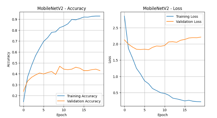 Figure 11: Training and Validation Performance of MobileNetV2 Model