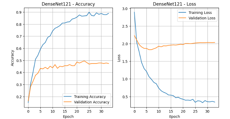 Figure 12: Training and Validation Performance of DenseNet121 model