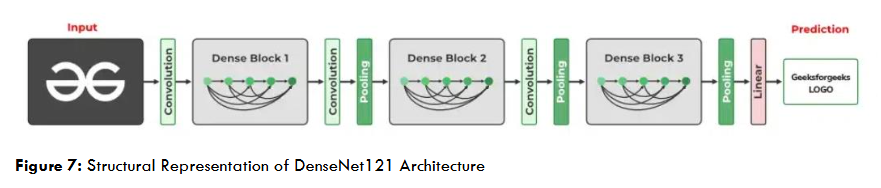Figure 6: Structural Representation of DenseNet121 Architecture