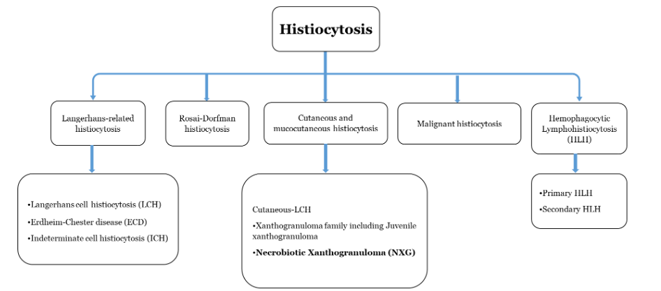 Diagram 1: illustrates the subtype classifications of histiocytosis.