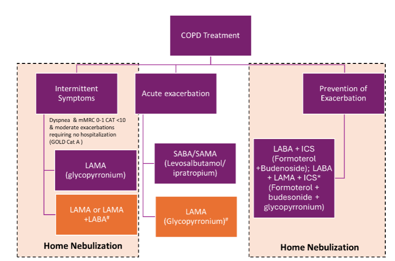 Algorithm for the use of nebulization and advice on home nebulization in COPD