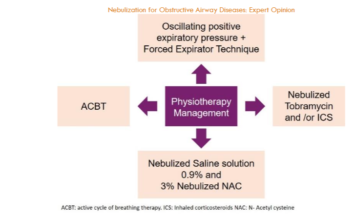 Comprehensive management for airway clearance