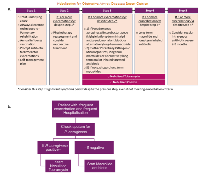 Use of nebulized antibiotics in the stepwise management of bronchiectasis