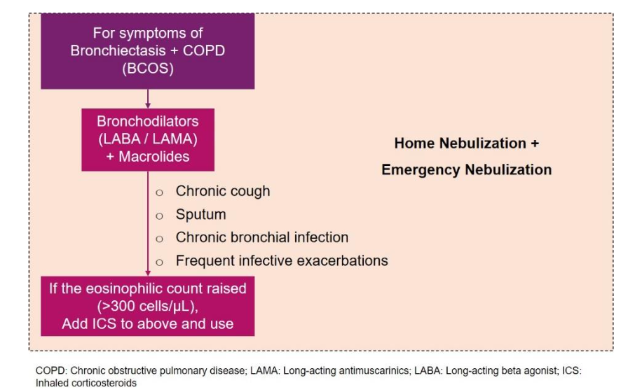 Figure 7: Algorithm for use of nebulization and advice on home nebulization in bronchiectasis and chronic obstructive pulmonary disease overlap