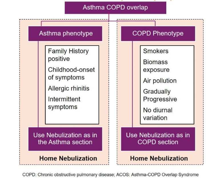 Figure 6: Algorithm for use of nebulization and advice on home nebulization in asthma-COPD overlap