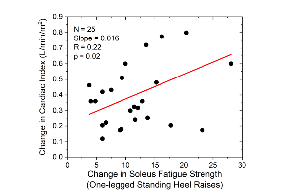 Increased soleus fatigue strength led to increased cardiac index in every subject. Further, a significant linear relationship was observed between magnitude of change in soleus fatigue strength and magnitude of change in cardiac index. The average increase in cardiac index for the study group (0.39 L/min/m2) represents a 25% improvement in cardiac output over the six month intervention period.