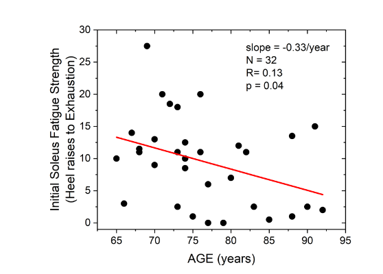Soleus fatigue strength obtained from screened subjects. Fatigue strength assessed by slow, one-legged standing heel raises executed to exhaustion. On average, screened subjects could complete 9.2 heel raises. Fatigue strength declined significantly as a function of subject age at a rate of 0.33 heel raises per year of age.