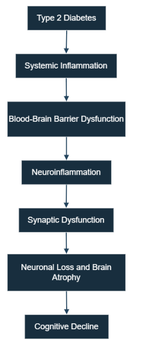 Figure 1: Development of Type 2 Diabetes to Cognitive Decline.