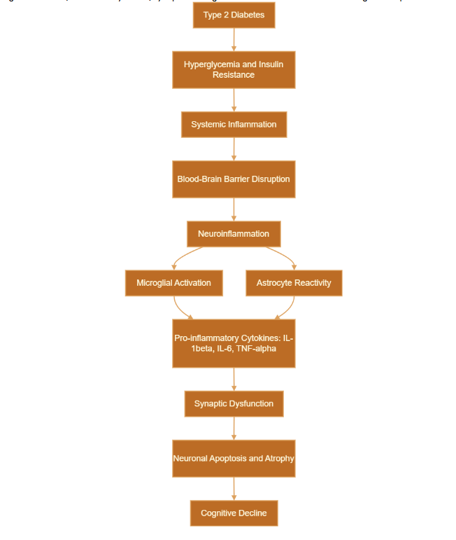 Figure 3: Comprehensive Overview: T2D to Cognitive Decline.