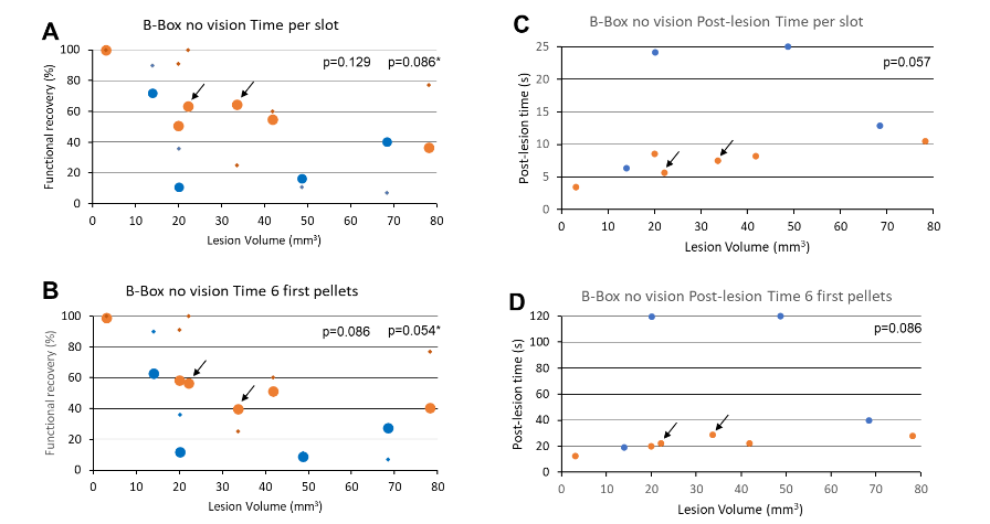 Figure 7: Behavioral data derived from the “Brinkman Box without vision” task (large symbols) for all monkeys (n=10), as assessed with the most 2 relevant parameters (“Time per slot” in A and “time to retrieve the 6 first pellets” in B), plotted as a function of lesion volume (large symbols). Mk-LA, having the smallest M1 lesion (3.1 mm3) exhibited a full functional recovery, which might also have been promoted by the treatment with anti-Nogo-A antibody.