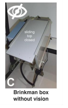 C: “Brinkman Box”, with its upper part in the closed position, a configuration in which the monkey performs the task without visual guidance (the hand is not visible; see video 1).