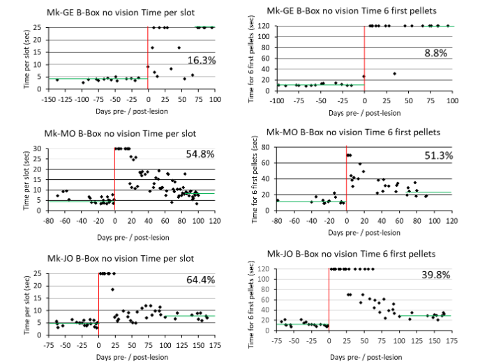 Figure 6: Data derived from the “Brinkman Box without vision”task (no visual control), limited to the 2 relevant parameters “time per slot” and “time for first 6 pellets” for Mk-GE (control), Mk-MO (anti-Nogo-A antibody-treated) and Mk-JO (ANCE-treated), and plotted as a function of time, pre- and post-lesion (abscissas). Same conventions as in the bottom rows of Figure 4.