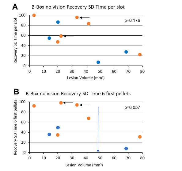 Figure 9: Percentage of functional recovery data (ordinate) as a function of lesion volume (abscissa; in mm³), derived from the “Brinkman Box without vision” task (no visual control), considering the standard deviations (SD) observed for the 2 relevant parameters “time per slot” and “time for first six pellets” (see also Table 1). Same conventions as in Figures 3, 7 and 8.